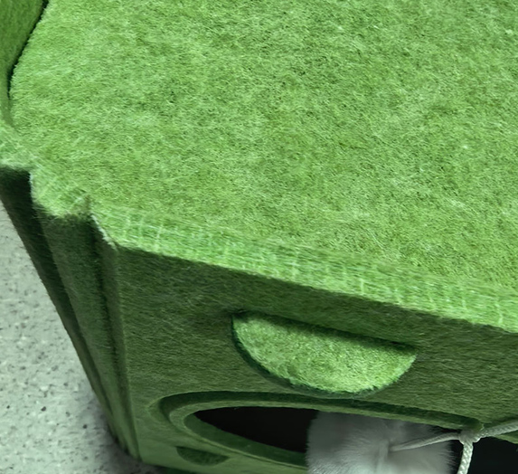 PET house